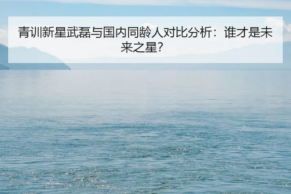 qing-xun-xin-xing-wu-lei-yu-guo-nei-tong-ling-ren-dui-bi-fen-xi-shui-cai-shi-wei-lai-zhi-xing-2-219.jpg