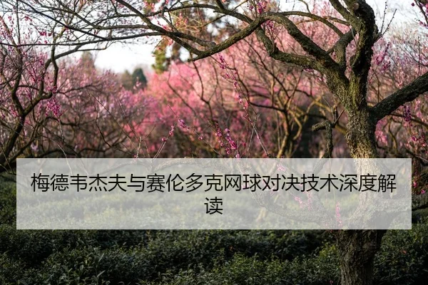 梅德韦杰夫与赛伦多克网球对决技术深度解读
